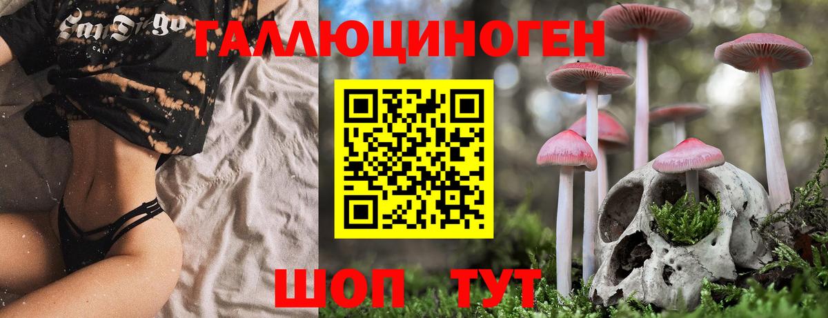 Галлюциногенные грибы ЛСД  Вход с VPN  Псилоцибиновые грибы MAGIC MUSHROOMS  Асино 